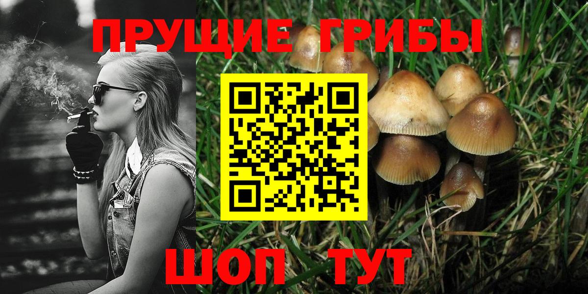 Щёкино  Галлюциногенные грибы мухоморы  Псилоцибиновые грибы Psilocybe  Вход с VPN 